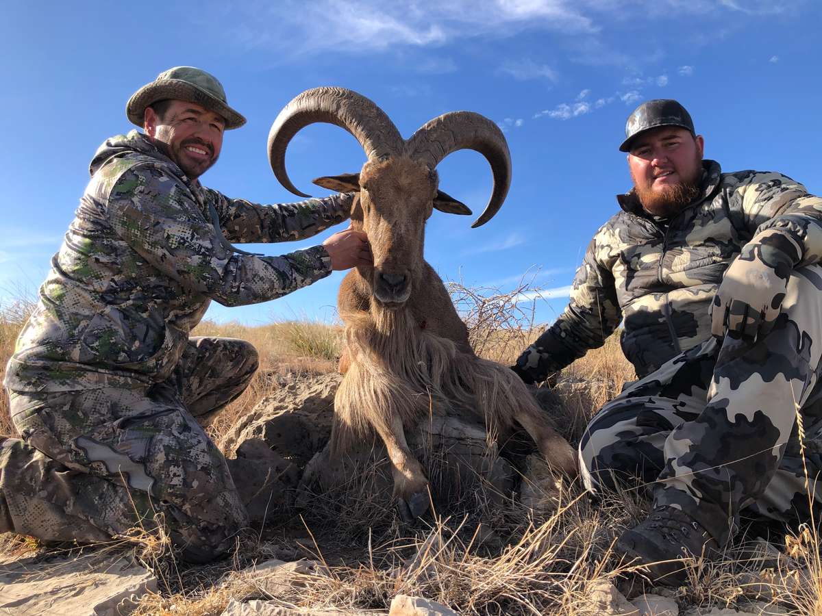 McGregor Range Barbary Sheep Hunts McGregor Range Barbary Sheep Hunts NM