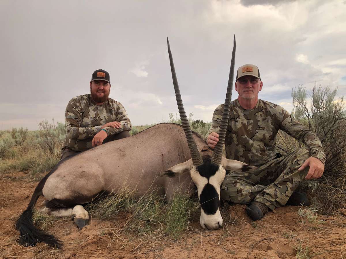 Oryx in NM