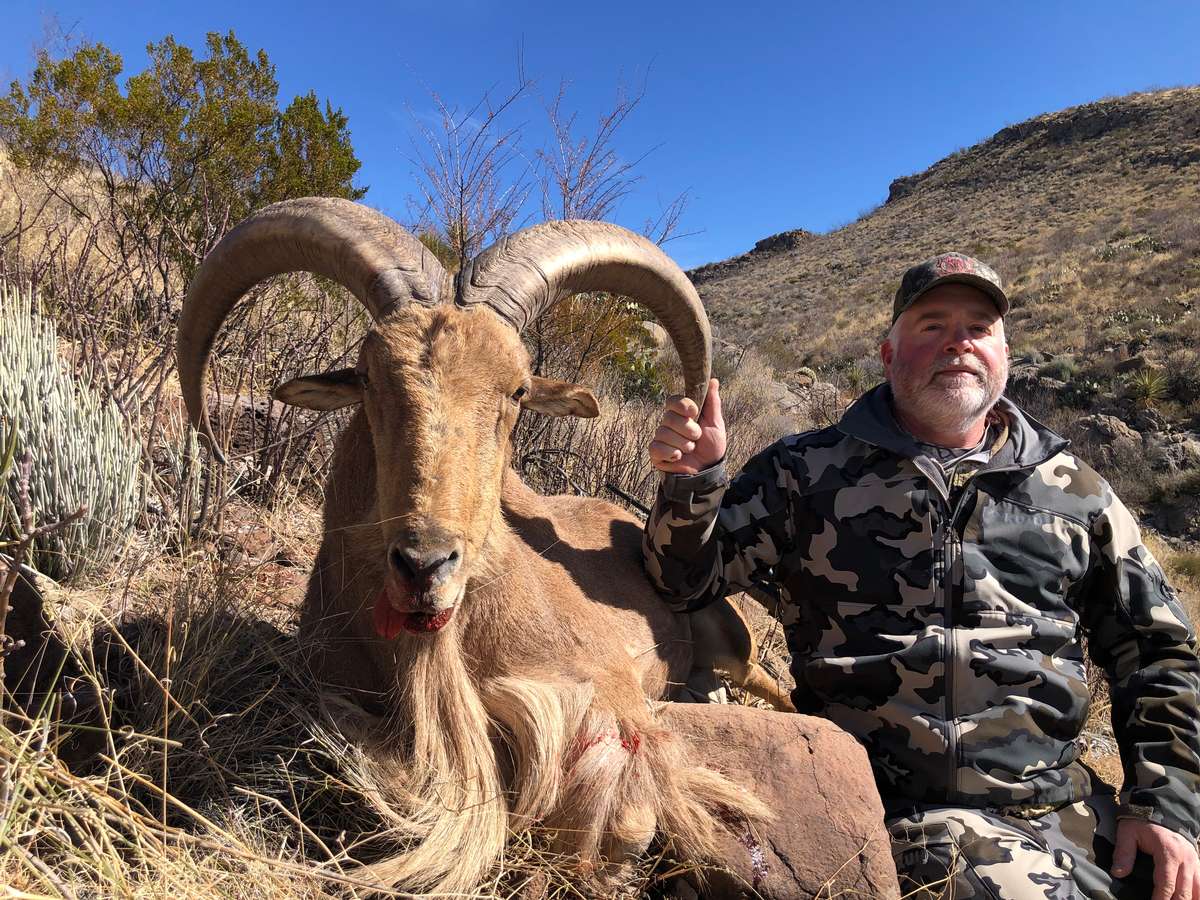 New Mexico Barbary Sheep Hunts